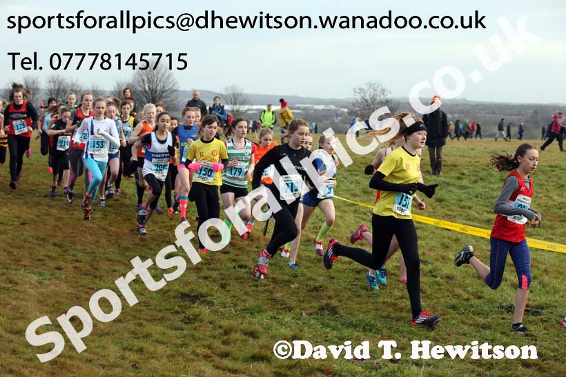 Girls under-13s North Eastern Cross Country, Aykley Heads, Durham. Photo: David T. Hewitson/Sports for All Pics